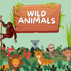 Wild Animals Flashcards (Vahşi Hayvanlar Resimli Kelime Kartları)
