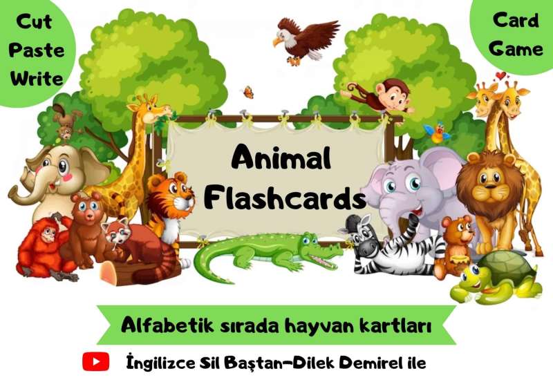 60 Adet Resimli Kelime Kartları (Hayvanlar İle İlgili)