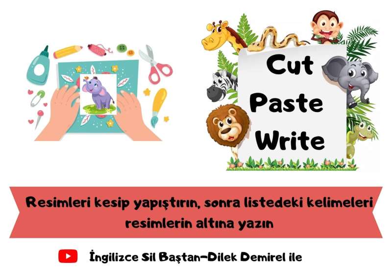 60 Adet Resimli Kelime Kartları (Hayvanlar İle İlgili) - Görsel 4