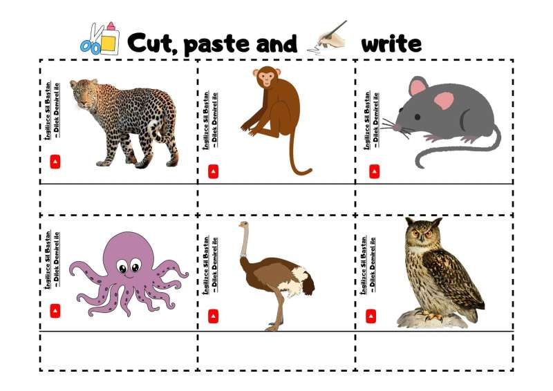 60 Adet Resimli Kelime Kartları (Hayvanlar İle İlgili) - Görsel 5