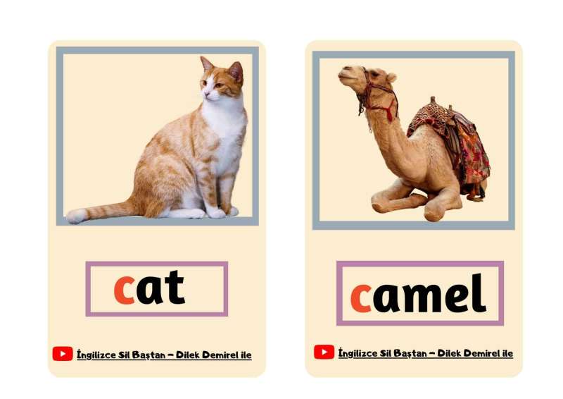 60 Adet Resimli Kelime Kartları (Hayvanlar İle İlgili) - Görsel 7