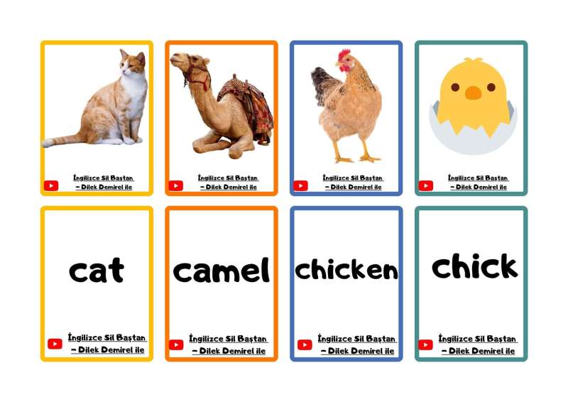 60 Adet Resimli Kelime Kartları (Hayvanlar İle İlgili) - Görsel 3