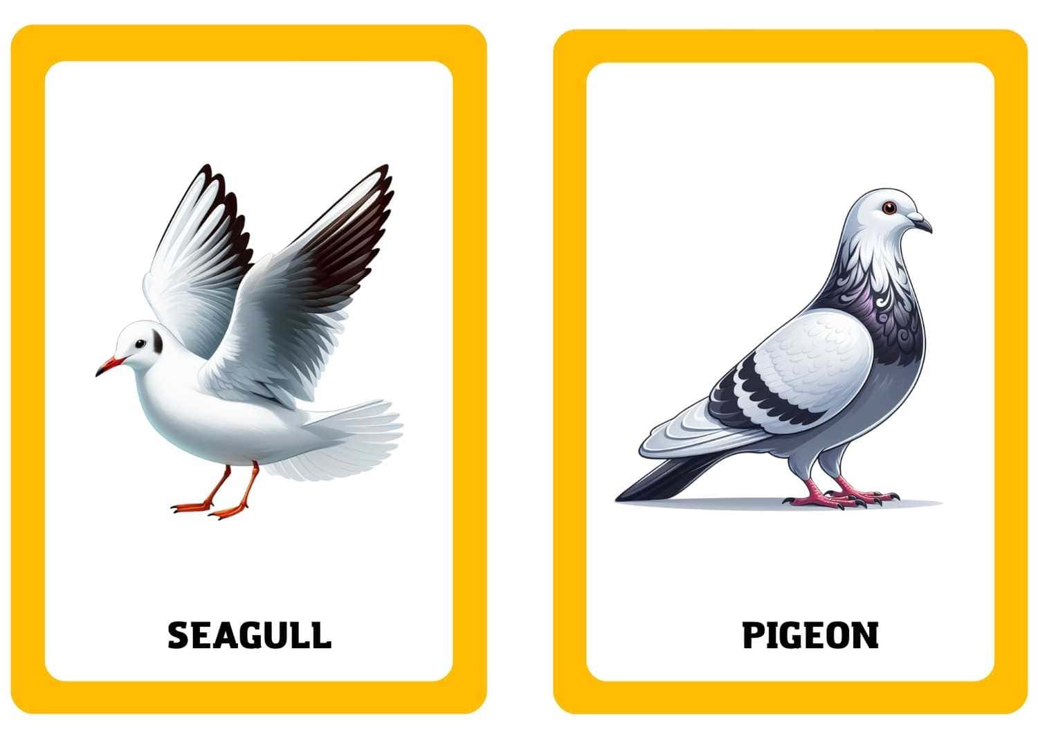 3. Sınıf 10.Ünite Nature Resimli Kelime Kartları - Görsel 2