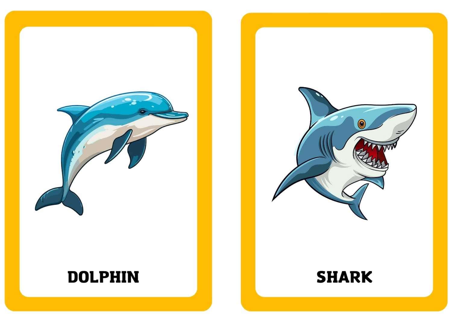 3. Sınıf 10.Ünite Nature Resimli Kelime Kartları - Görsel 4