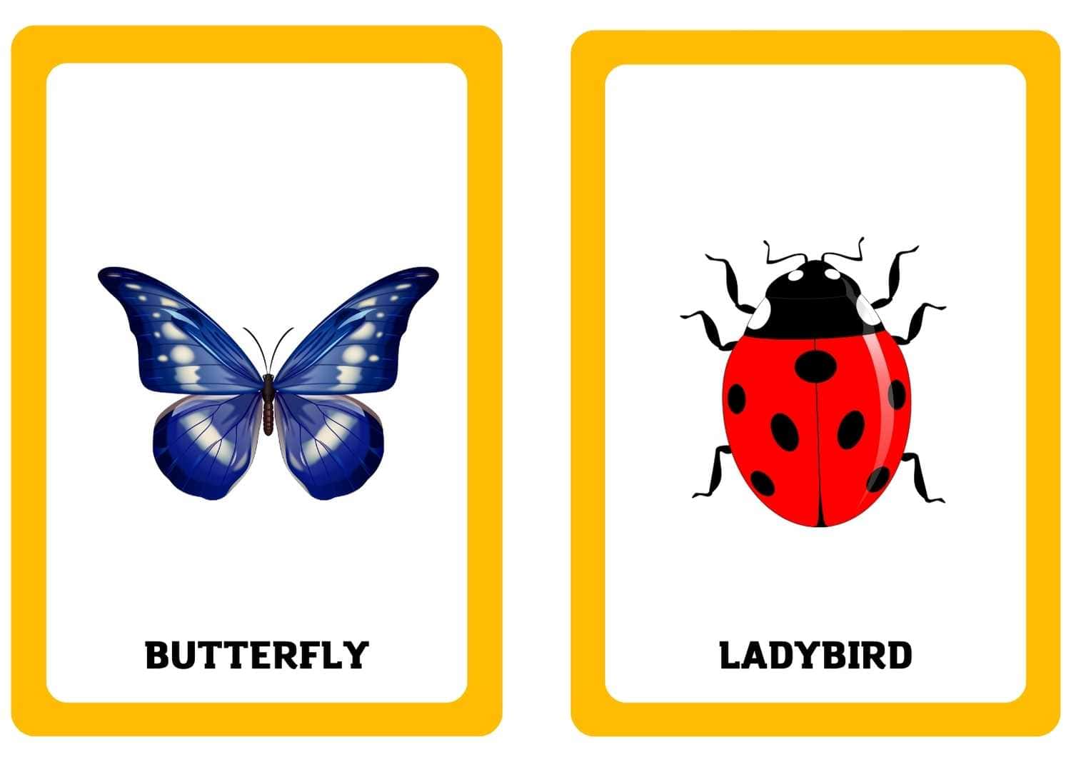 3. Sınıf 10.Ünite Nature Resimli Kelime Kartları - Görsel 5